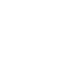 Vector (2)