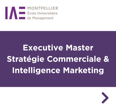 IAE Montpellier MIISS