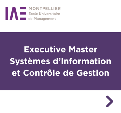 IAE Montpellier SICG